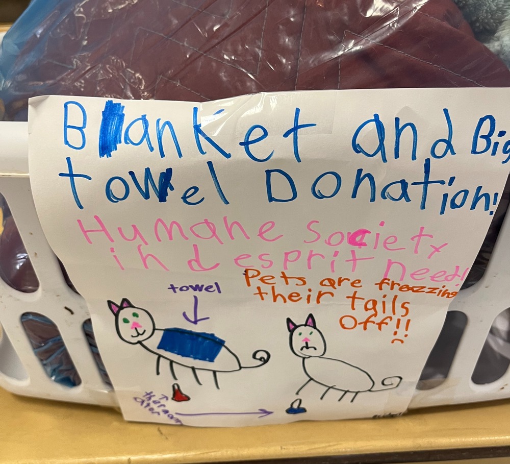 Student made posters on white paper with coloured markers, for the SPCA blanket and towel donation drive. Two hand drawn kittens. 