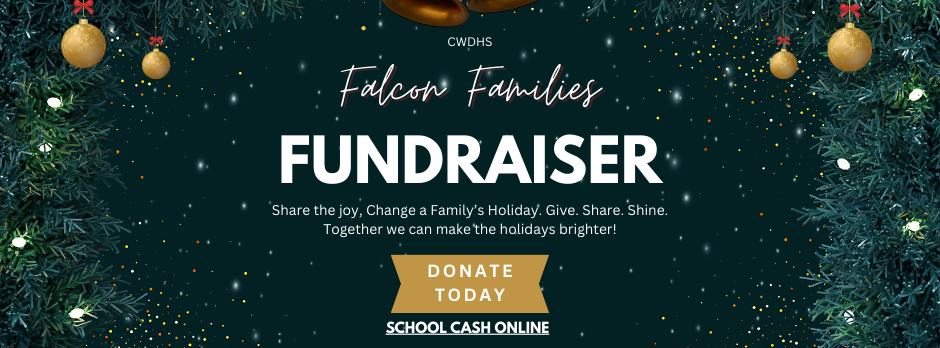 Falcon Families Fundraiser