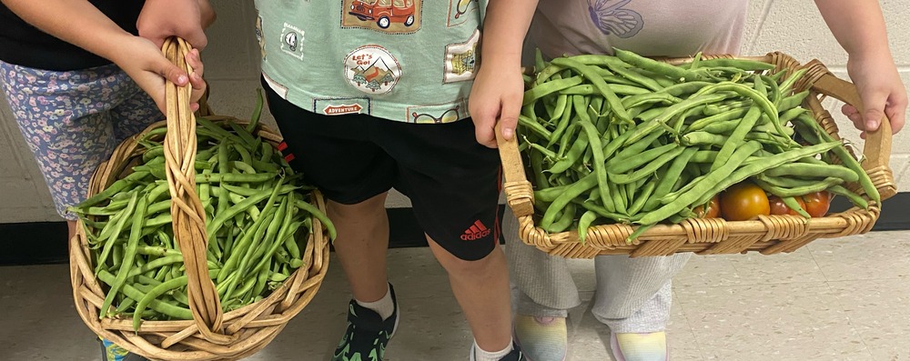 Three students holding green beans in wicker baskets that were picked from our community garden.
