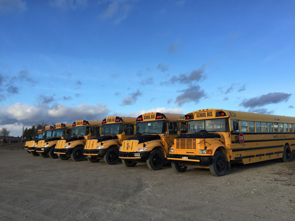 Multiple school buses are parked in a parking lot.