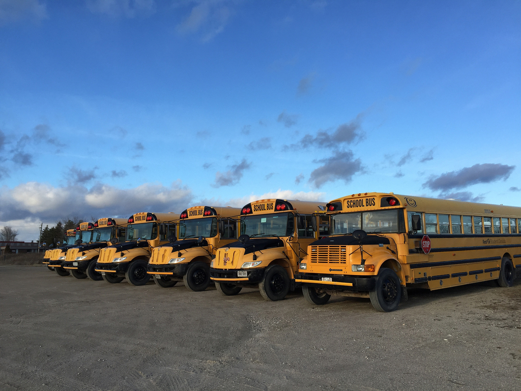 Several yellow school buses are parked in a row.
