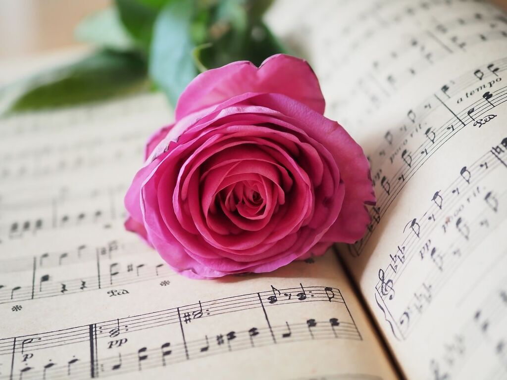 A generic image of a rose in a music book. The image was taken from Pexels