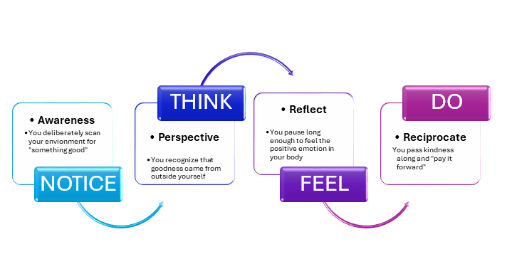 A graphic about noticing, thinking, feeling and doing. It is about awareness, perspective, reflection and reciprocation