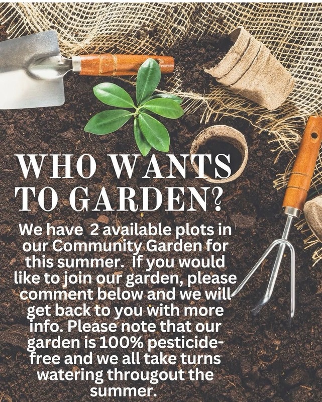 Picture of soil and gardening tools, asking who wants plots in our school garden. 