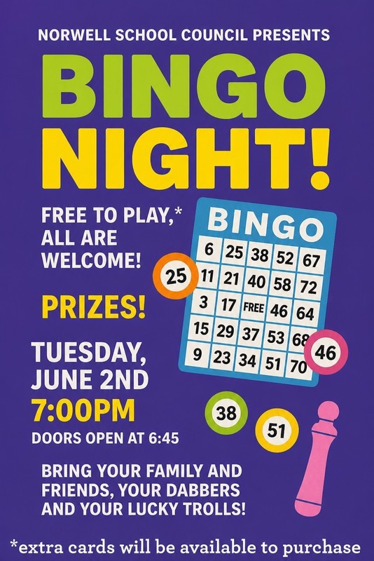 BINGO Night
