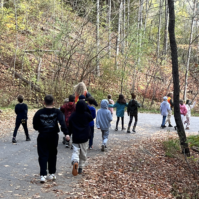 Staff and students walking through a conservation area.